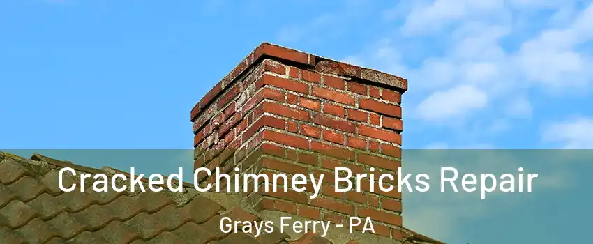 Cracked Chimney Bricks Repair Grays Ferry - PA