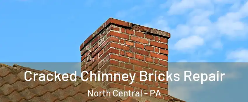 Cracked Chimney Bricks Repair North Central - PA