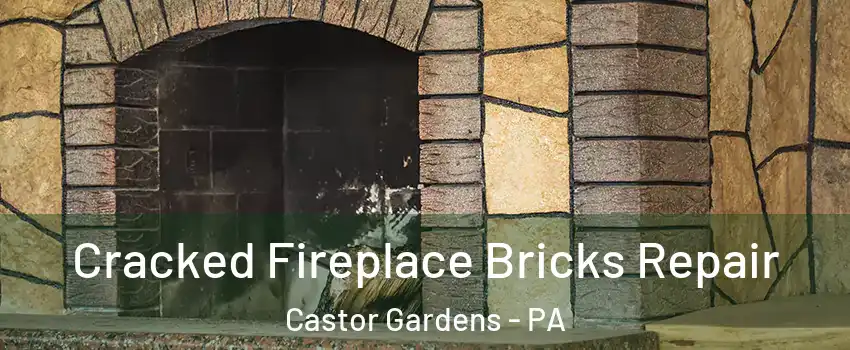 Cracked Fireplace Bricks Repair Castor Gardens - PA