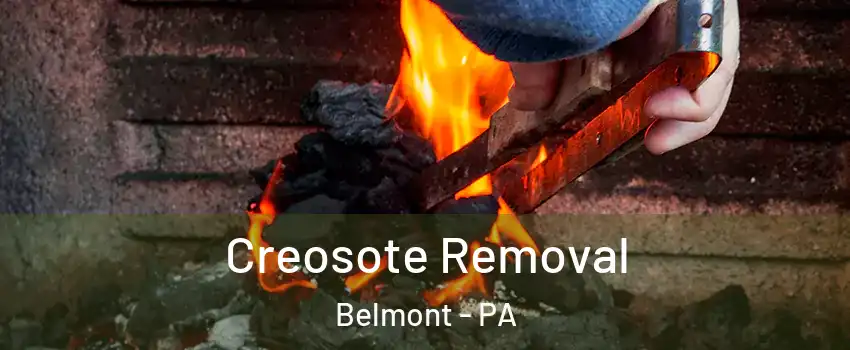 Creosote Removal Belmont - PA