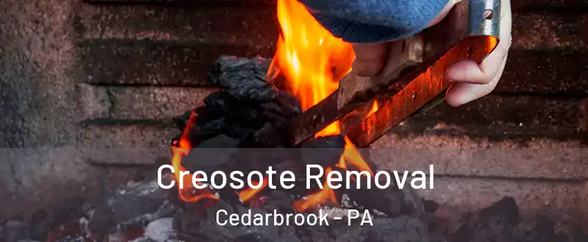 Creosote Removal Cedarbrook - PA