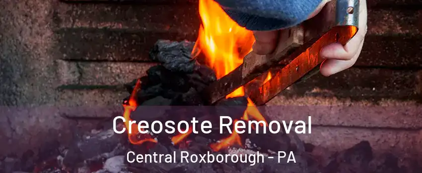 Creosote Removal Central Roxborough - PA