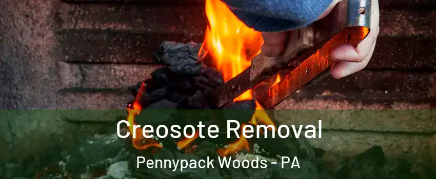 Creosote Removal Pennypack Woods - PA