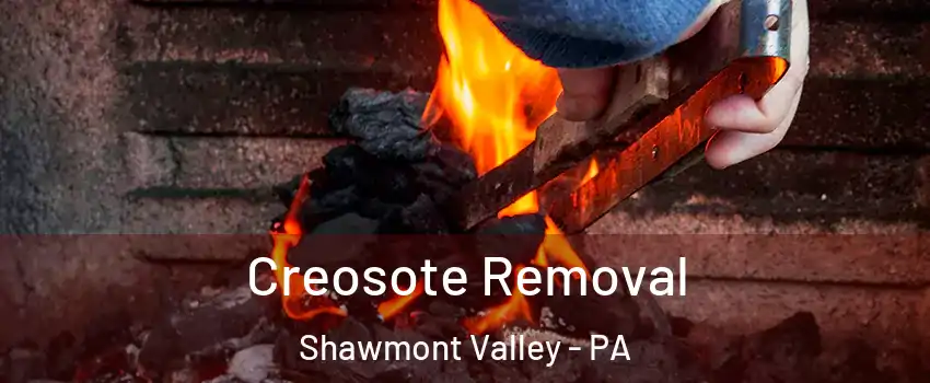 Creosote Removal Shawmont Valley - PA