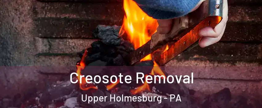 Creosote Removal Upper Holmesburg - PA