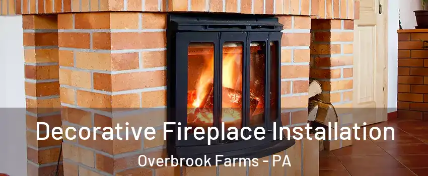 Decorative Fireplace Installation Overbrook Farms - PA