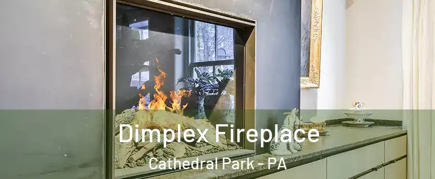 Dimplex Fireplace Cathedral Park - PA