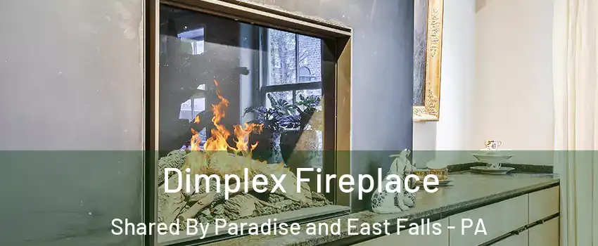 Dimplex Fireplace Shared By Paradise and East Falls - PA