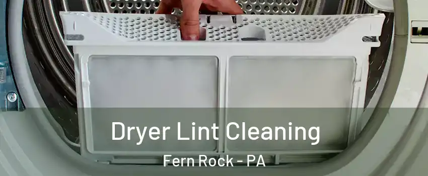 Dryer Lint Cleaning Fern Rock - PA