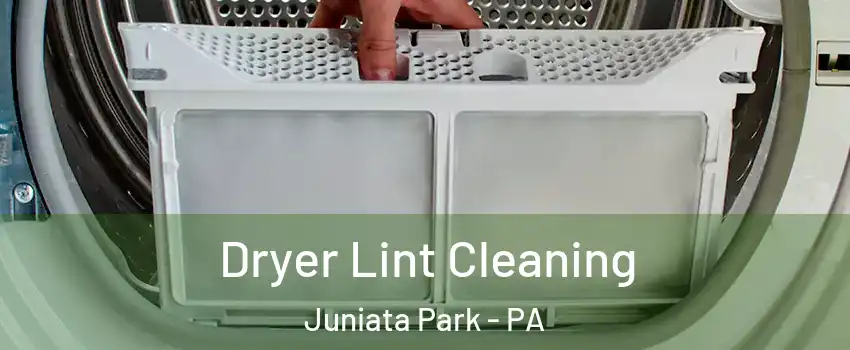 Dryer Lint Cleaning Juniata Park - PA