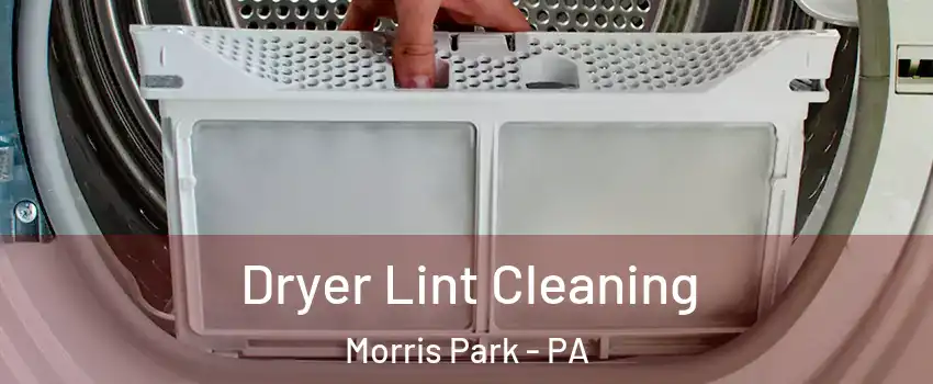 Dryer Lint Cleaning Morris Park - PA