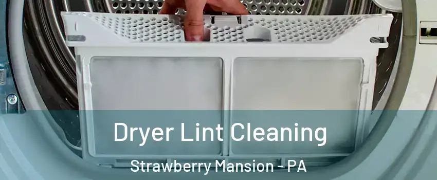 Dryer Lint Cleaning Strawberry Mansion - PA