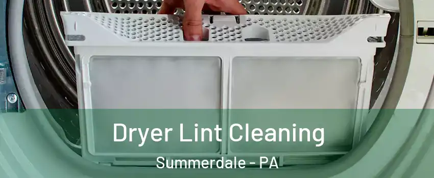 Dryer Lint Cleaning Summerdale - PA