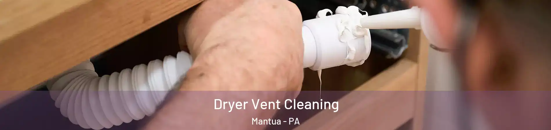 Dryer Vent Cleaning Mantua - PA