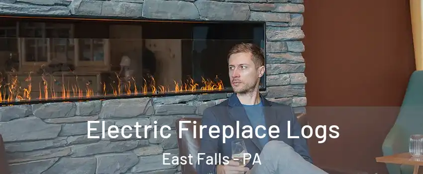 Electric Fireplace Logs East Falls - PA