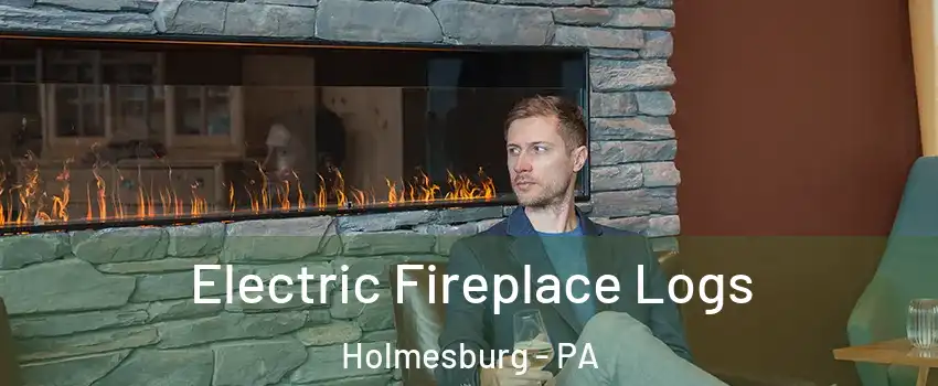 Electric Fireplace Logs Holmesburg - PA