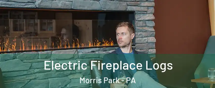 Electric Fireplace Logs Morris Park - PA