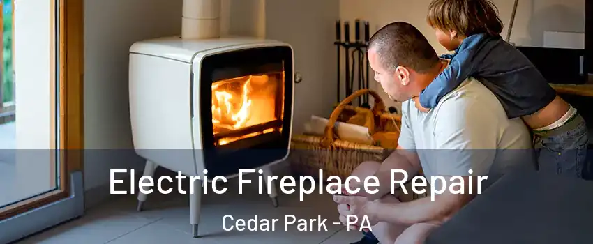 Electric Fireplace Repair Cedar Park - PA