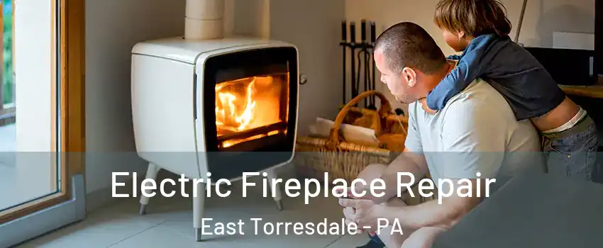 Electric Fireplace Repair East Torresdale - PA