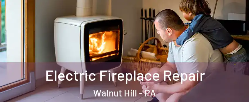 Electric Fireplace Repair Walnut Hill - PA