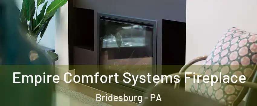 Empire Comfort Systems Fireplace Bridesburg - PA