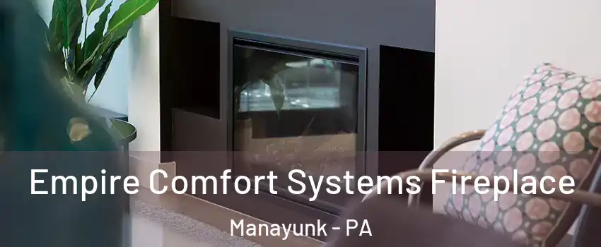 Empire Comfort Systems Fireplace Manayunk - PA