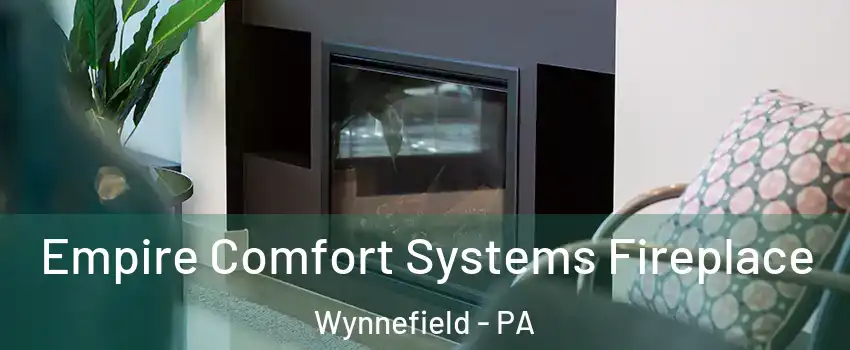 Empire Comfort Systems Fireplace Wynnefield - PA