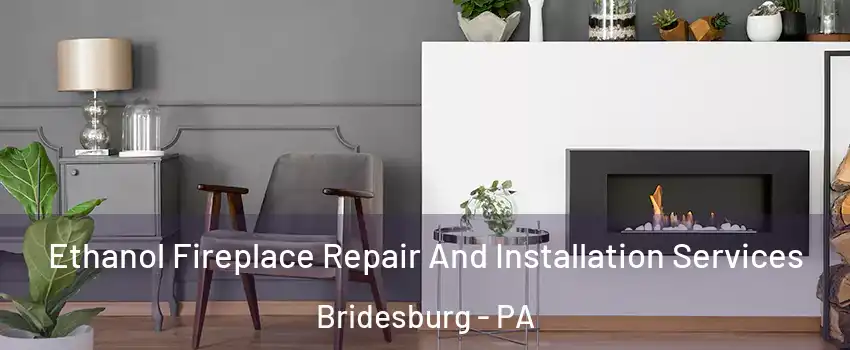 Ethanol Fireplace Repair And Installation Services Bridesburg - PA