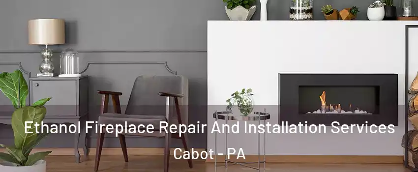 Ethanol Fireplace Repair And Installation Services Cabot - PA