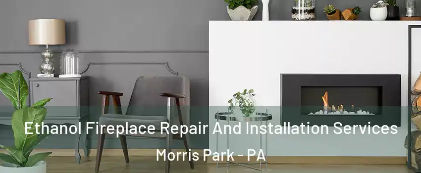 Ethanol Fireplace Repair And Installation Services Morris Park - PA