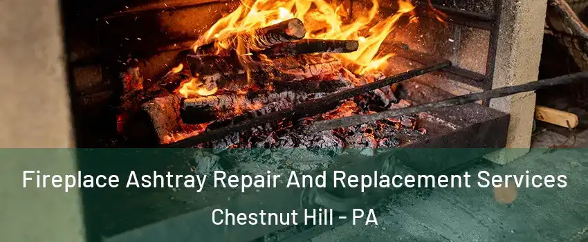 Fireplace Ashtray Repair And Replacement Services Chestnut Hill - PA