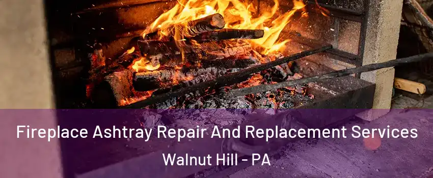 Fireplace Ashtray Repair And Replacement Services Walnut Hill - PA