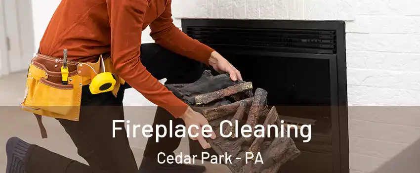 Fireplace Cleaning Cedar Park - PA