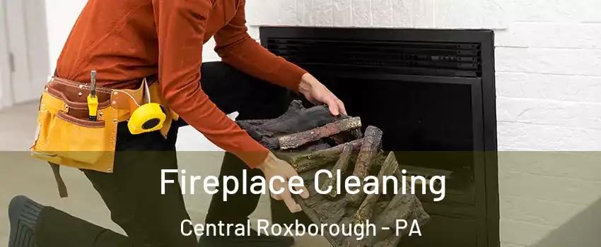 Fireplace Cleaning Central Roxborough - PA