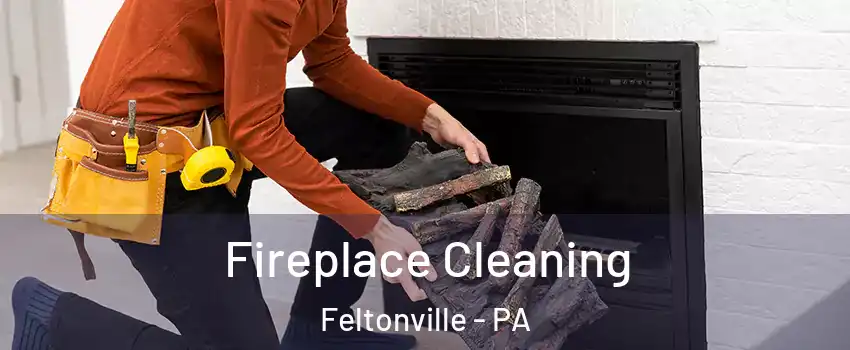 Fireplace Cleaning Feltonville - PA