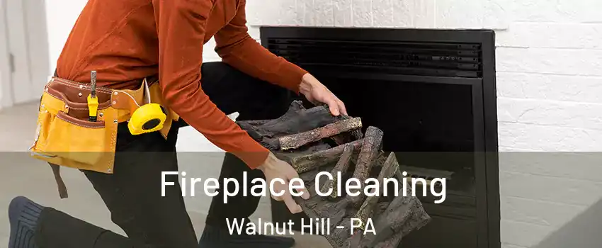 Fireplace Cleaning Walnut Hill - PA