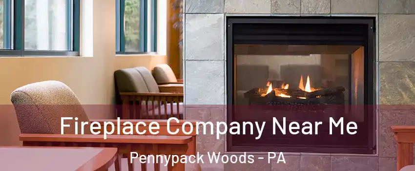 Fireplace Company Near Me Pennypack Woods - PA