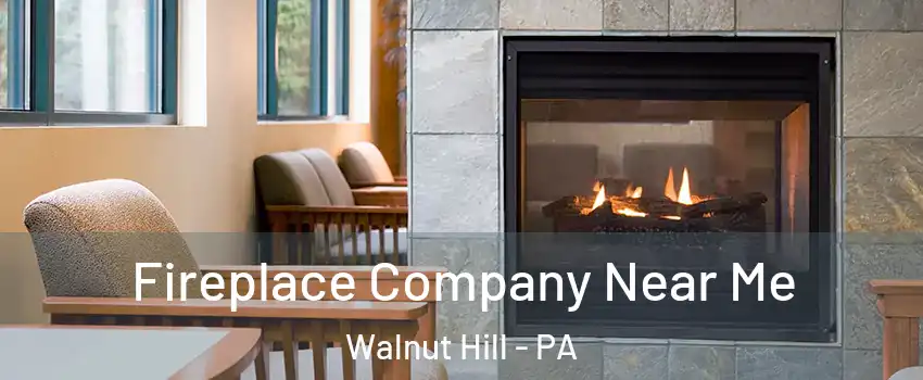 Fireplace Company Near Me Walnut Hill - PA