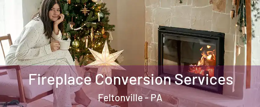 Fireplace Conversion Services Feltonville - PA