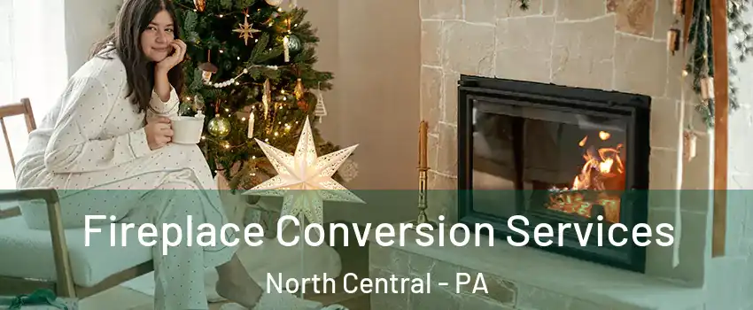 Fireplace Conversion Services North Central - PA