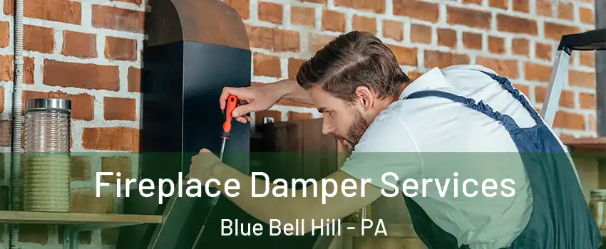 Fireplace Damper Services Blue Bell Hill - PA