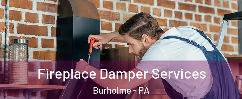 Fireplace Damper Services Burholme - PA