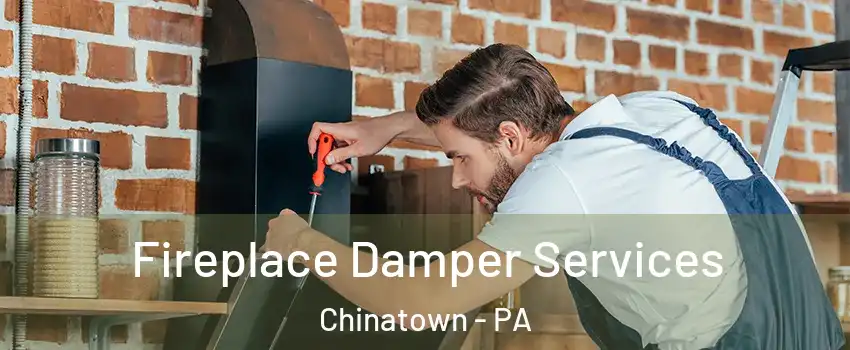 Fireplace Damper Services Chinatown - PA