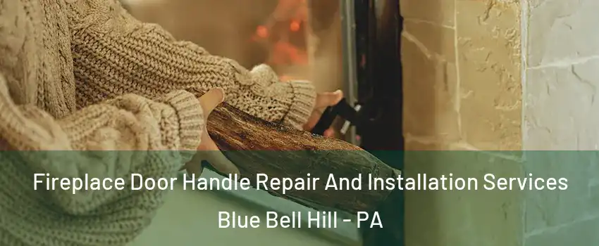 Fireplace Door Handle Repair And Installation Services Blue Bell Hill - PA