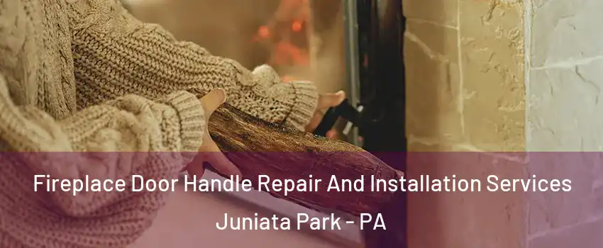 Fireplace Door Handle Repair And Installation Services Juniata Park - PA