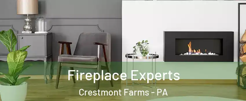 Fireplace Experts Crestmont Farms - PA