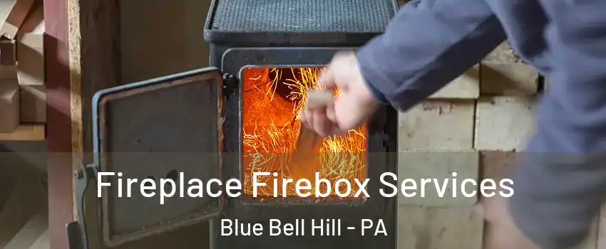 Fireplace Firebox Services Blue Bell Hill - PA