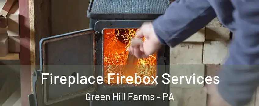 Fireplace Firebox Services Green Hill Farms - PA