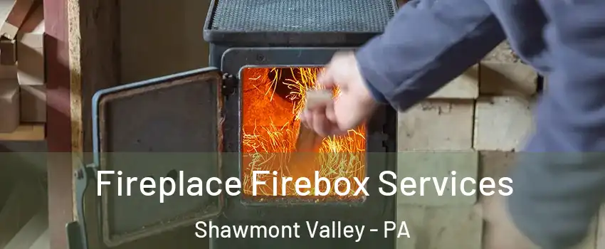 Fireplace Firebox Services Shawmont Valley - PA