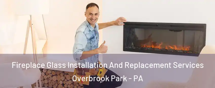 Fireplace Glass Installation And Replacement Services Overbrook Park - PA